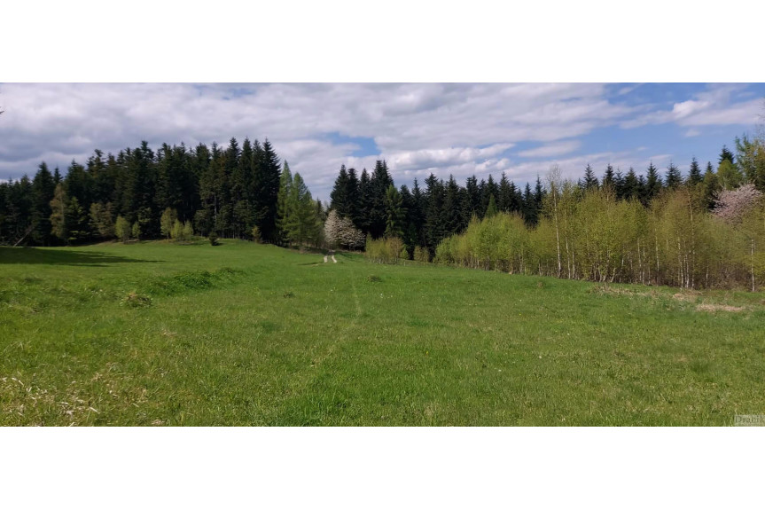 suski, Stryszawa, osiedle Bartoszki, Działka przy lesie na uboczu Bartoszki