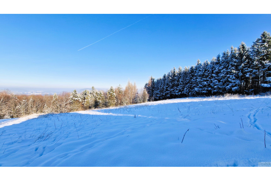suski, Zembrzyce, Tarnawa Dolna, Widokowa  góry, jezioro  rolno-budowlana 38ar
