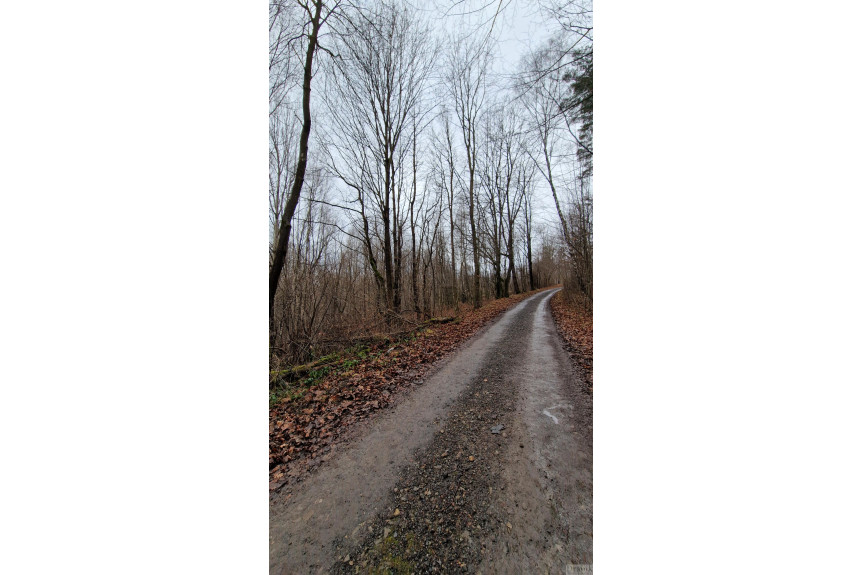 suski, Zembrzyce, Tarnawa Dolna, Dom kupienia dom oraz działki leśne 3ha