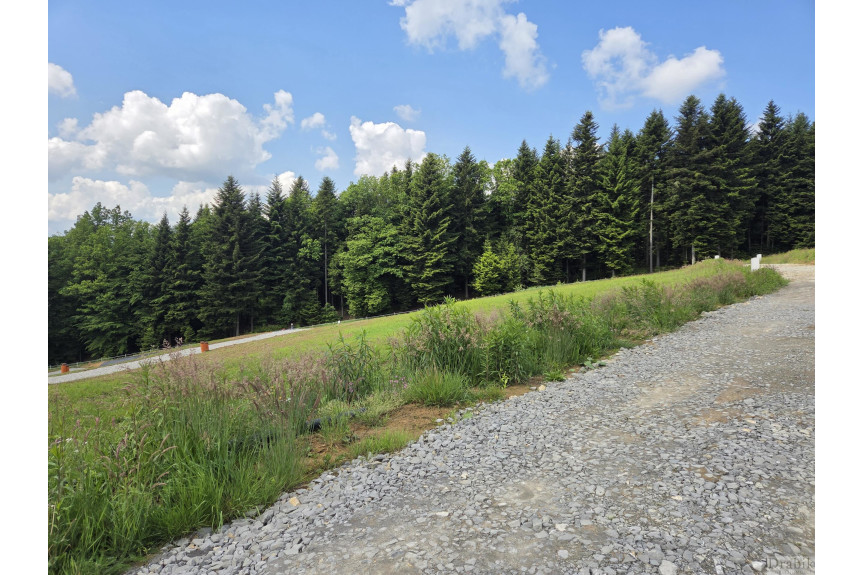 wadowicki, Strysz&oacute;w, Dąbr&oacute;wka, Uzbrojone działki widok na Jezioro i Babią G&oacute;rę  LAS