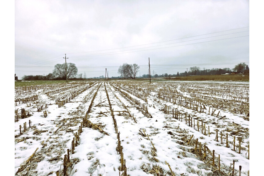 wadowicki, Spytkowice, G&oacute;rki, Działka budowlana 5km od Zatora, w pobliżu stawu