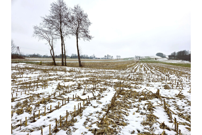 wadowicki, Spytkowice, G&oacute;rki, Działka budowlana 5km od Zatora, w pobliżu stawu