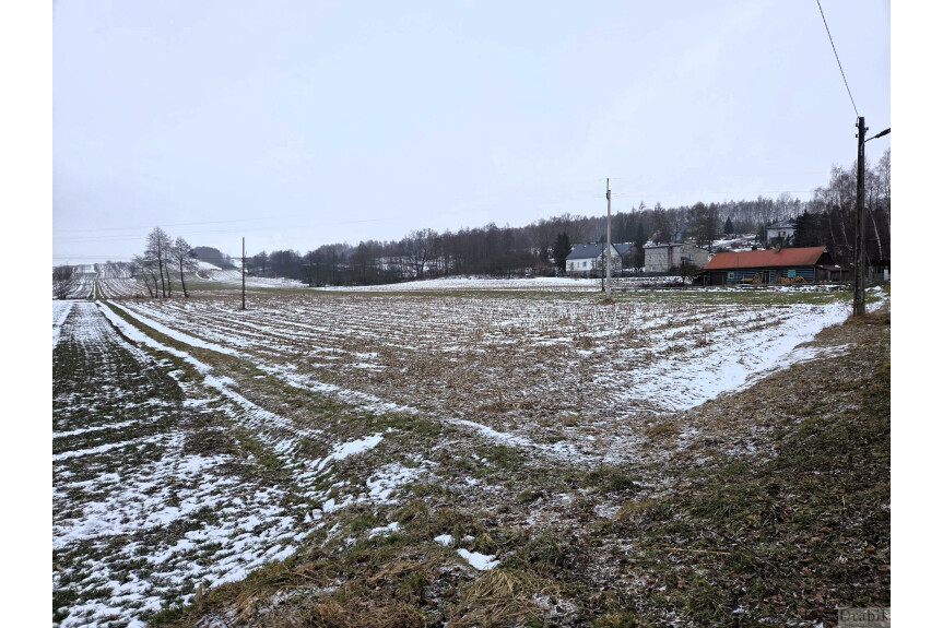 wadowicki, Spytkowice, G&oacute;rki, Działka budowlana 5km od Zatora, w pobliżu stawu