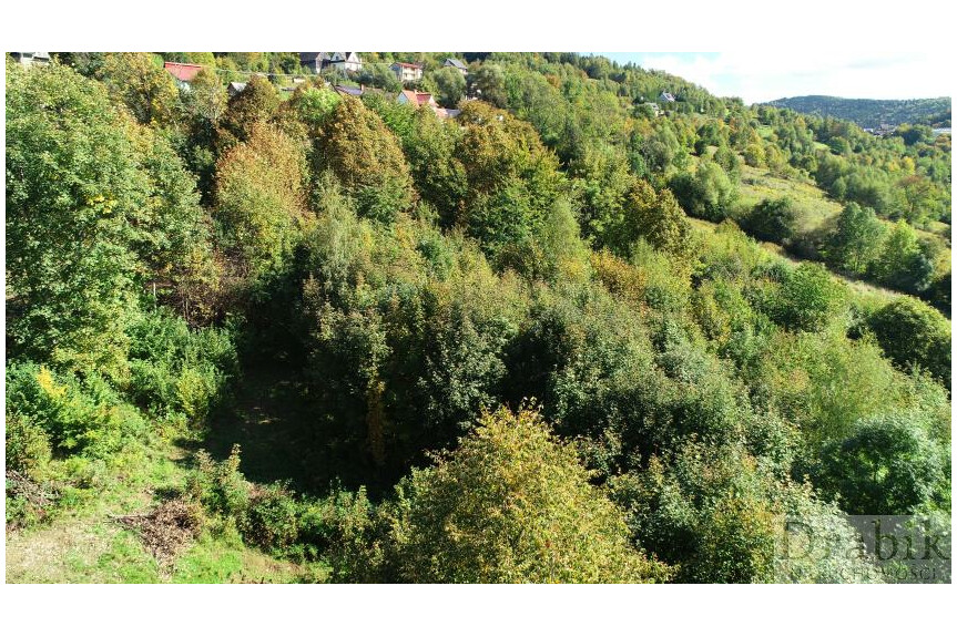 suski, Mak&oacute;w Podhalański, Żarn&oacute;wka, os. Grapa, Działka otoczona lasem z widokiem na g&oacute;ry