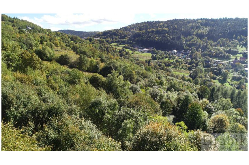 suski, Mak&oacute;w Podhalański, Żarn&oacute;wka, os. Grapa, Działka otoczona lasem z widokiem na g&oacute;ry