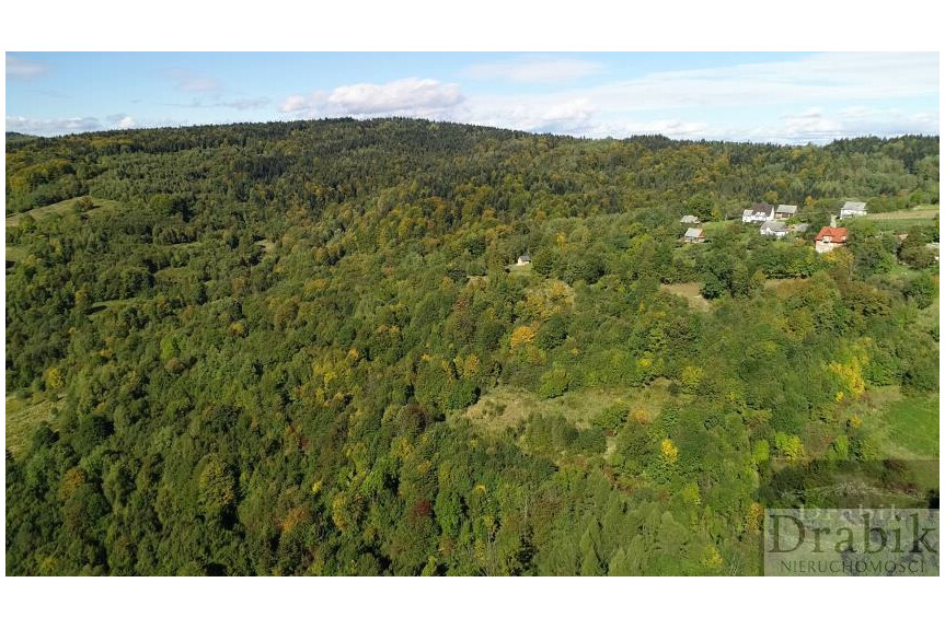 suski, Mak&oacute;w Podhalański, Żarn&oacute;wka, os. Grapa, Działka otoczona lasem z widokiem na g&oacute;ry