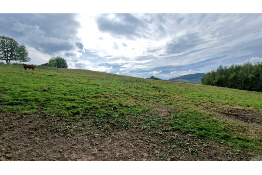 myślenicki, Raciechowice, Zegartowice, Widokowy obszar 2ha z możliwością zabudowy