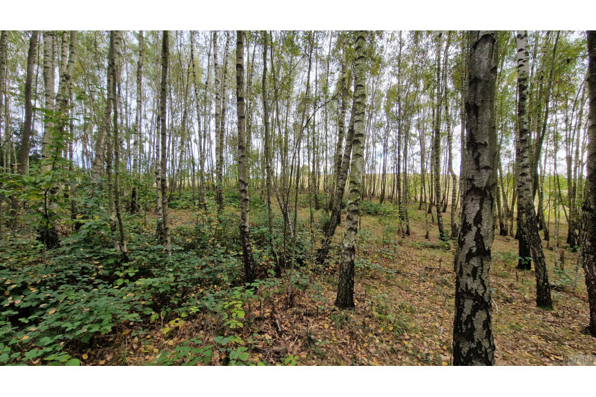 myślenicki, Raciechowice, Zegartowice, Widokowy obszar 2ha z możliwością zabudowy