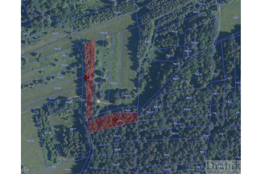 suski, Budz&oacute;w, 1,8 ha leśnych i do zalesienia Budz&oacute;w