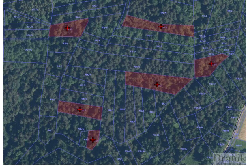 suski, Budz&oacute;w, 1,8 ha leśnych i do zalesienia Budz&oacute;w