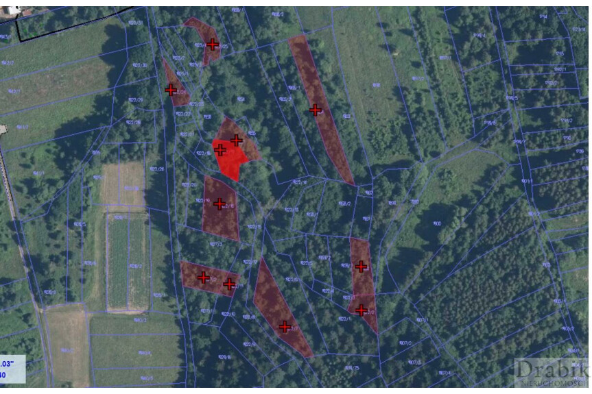 suski, Budz&oacute;w, 1,8 ha leśnych i do zalesienia Budz&oacute;w