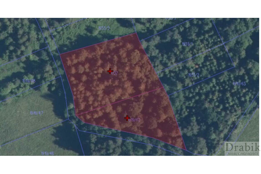 Małopolskie, suski, Budz&oacute;w, Działka leśna 39ar Budz&oacute;w