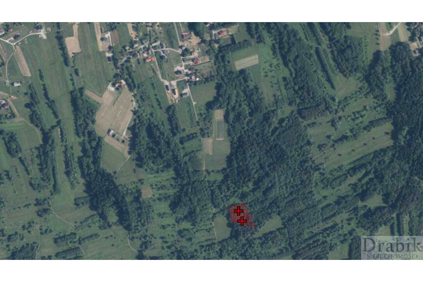 suski, Budz&oacute;w, Działka leśna 39ar Budz&oacute;w