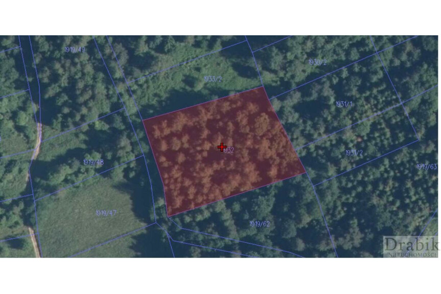 suski, Budz&oacute;w, Działka leśna 39ar Budz&oacute;w