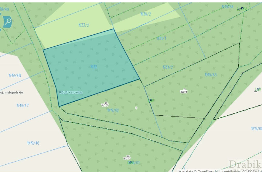 suski, Budz&oacute;w, Działka leśna 39ar Budz&oacute;w