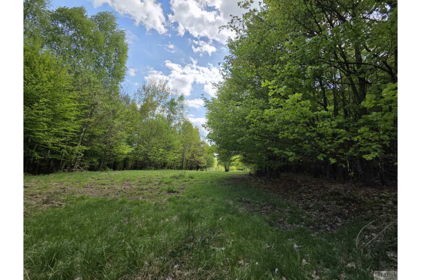 suski, Zembrzyce, Tarnawa Dolna, Działki leśne w Tarnawie Dolnej z dojazdem (użytki rolne wg ewidencji)