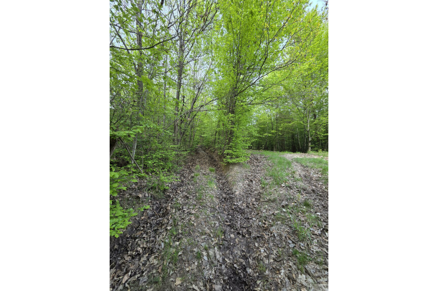 suski, Zembrzyce, Tarnawa Dolna, Działki leśne w Tarnawie Dolnej z dojazdem (użytki rolne wg ewidencji)