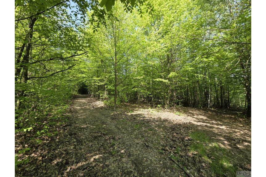 suski, Zembrzyce, Tarnawa Dolna, Działki leśne w Tarnawie Dolnej z dojazdem (użytki rolne wg ewidencji)