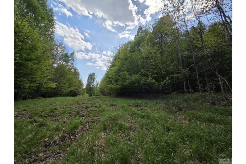 suski, Zembrzyce, Tarnawa Dolna, Działki leśne w Tarnawie Dolnej z dojazdem (użytki rolne wg ewidencji)