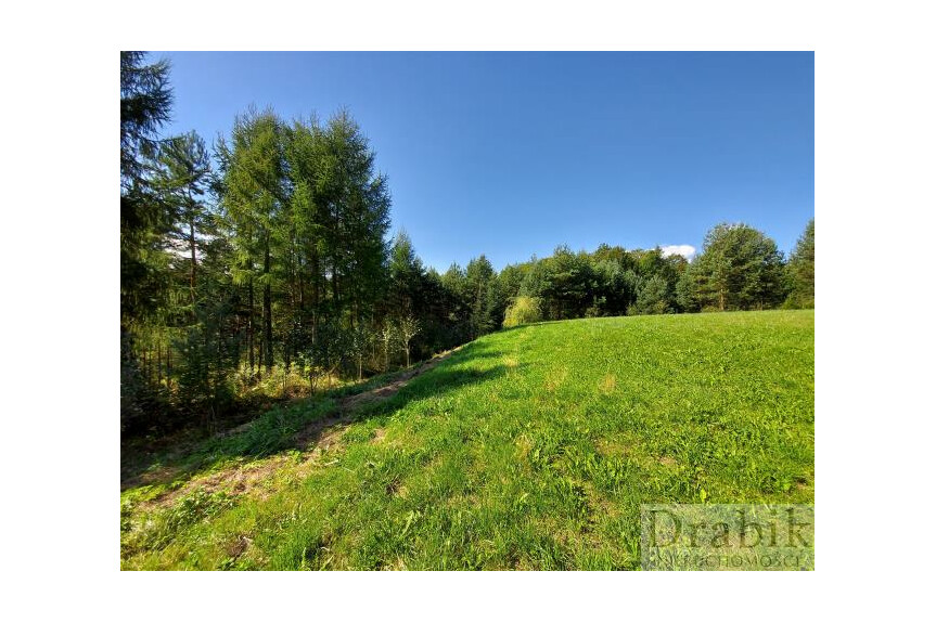 suski, Zembrzyce, Marc&oacute;wka, Działka rolno-budowlana pod agroturystykę