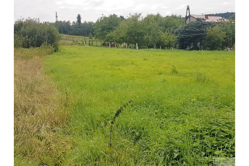 suski, Budz&oacute;w, Działka budowlana Budz&oacute;w wygodny dojazd, spokojne miejsce