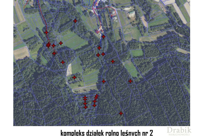 suski, Budz&oacute;w, Baczyn, Działki rolne i leśne w Baczynie - wyb&oacute;r działek o łącznej pow. 4,75ha