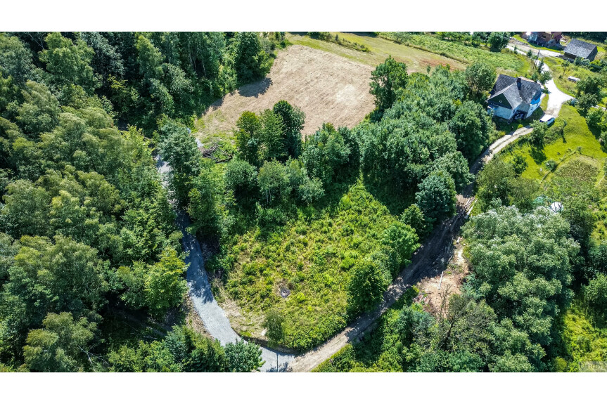 suski, Mak&oacute;w Podhalański, Żarn&oacute;wka, os. Grapa, Widokowa działka (m.in. widok na Babią G&oacute;rę)  z dojazdem,  pod lasem
