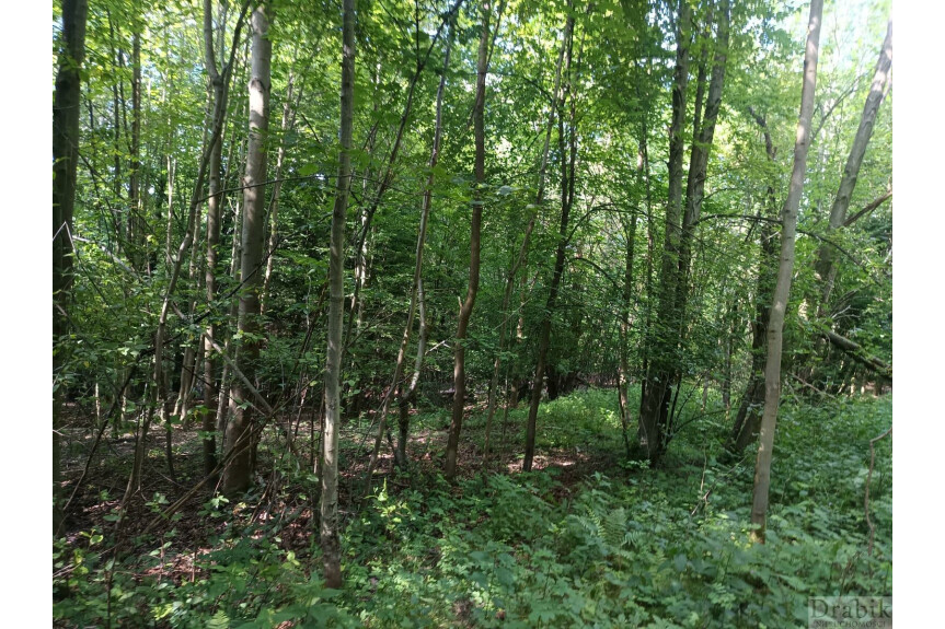 Budz&oacute;w, suski, Działka na sprzedaż
