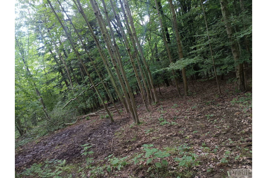 suski, Budz&oacute;w, Do kupienia działka rolno leśna w Budzowie
