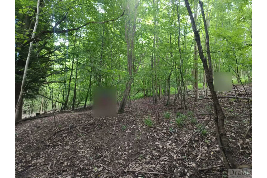suski, Budz&oacute;w, Do kupienia działka rolno leśna w Budzowie