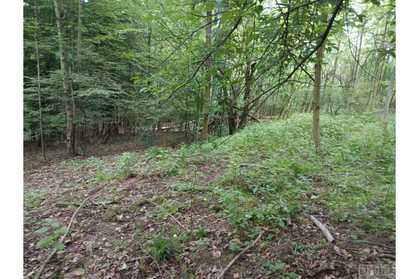 suski, Budz&oacute;w, Do kupienia działka rolno leśna w Budzowie